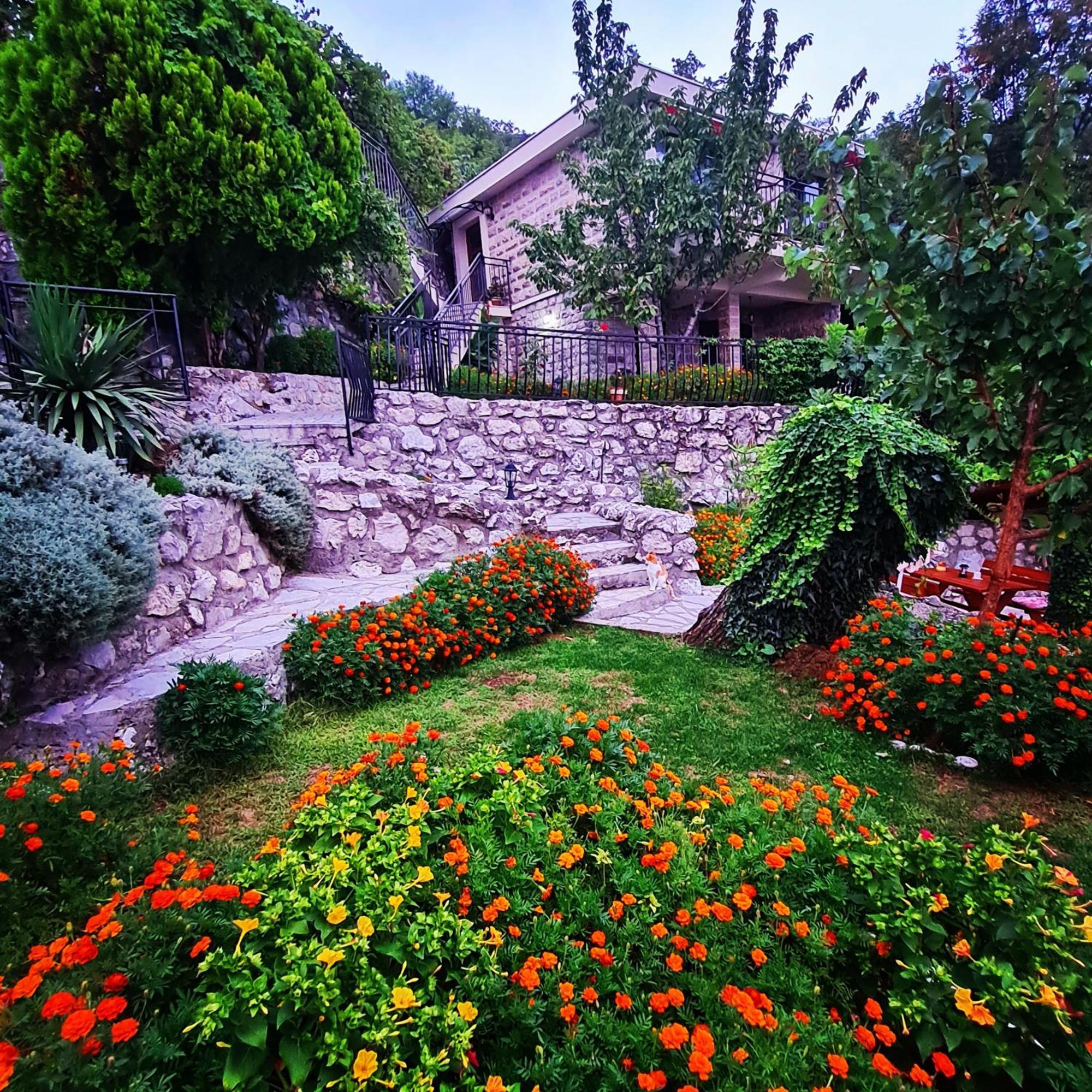 Villa Nera Budva Exterior photo